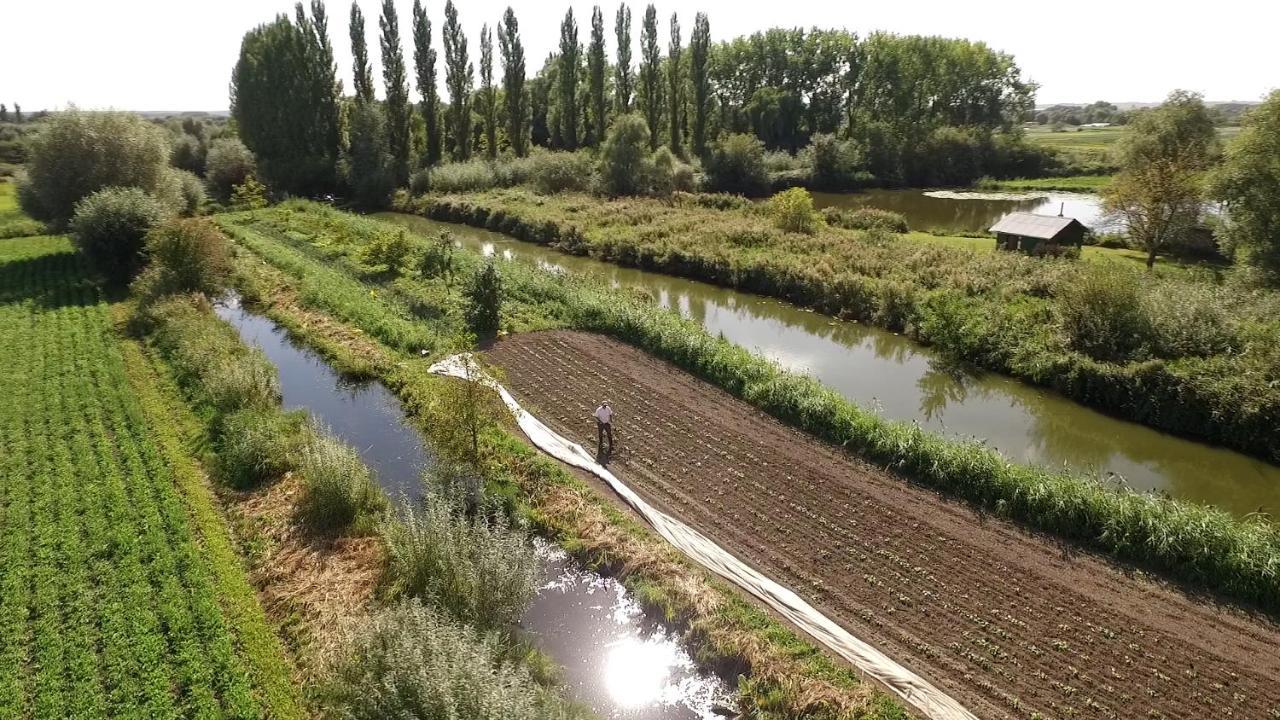 Le Jardin Secret Holiday home Saint-Omer (Pas-de-Calais)